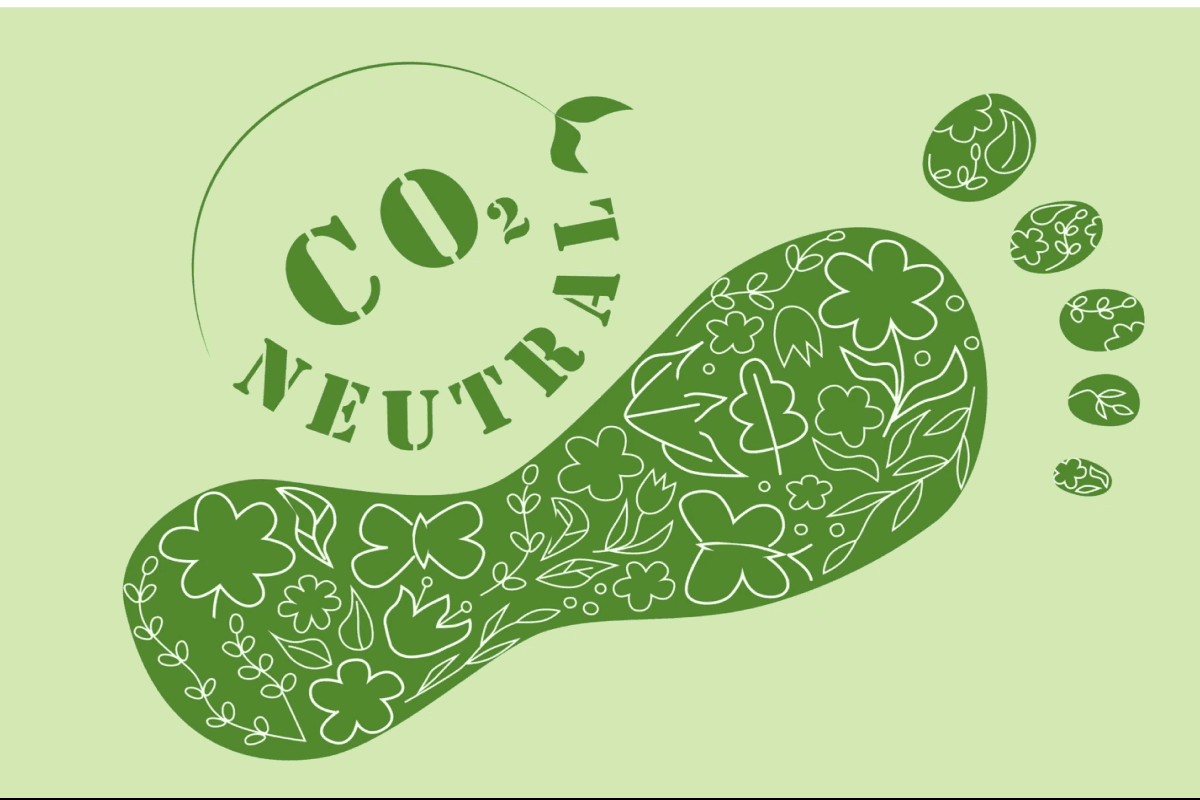 Carbon Footprint Reduction and Offset Strategies