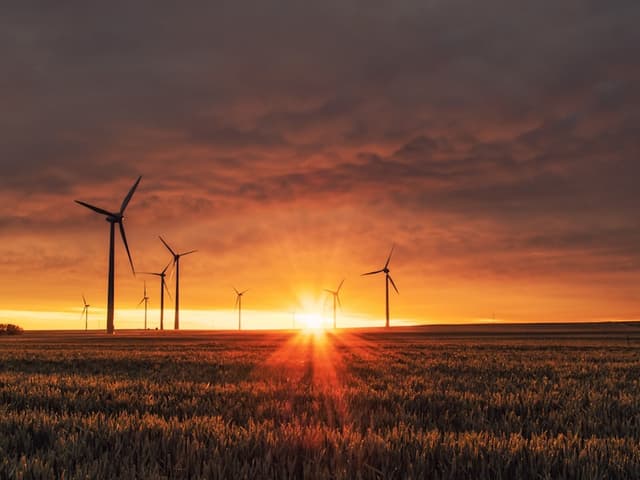 Climate Action
